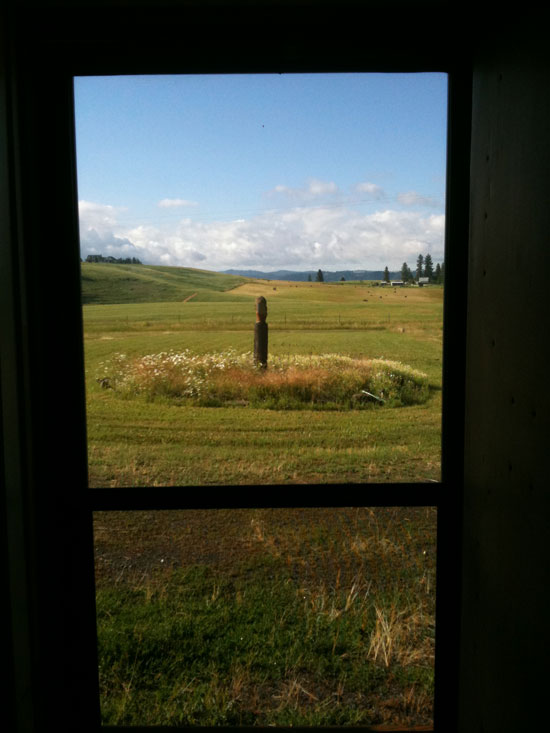 View south out kitchen door, Wilkenson homestead..
